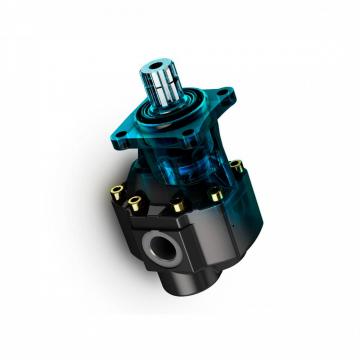 Pompe hydraulique pour Steering Gear Lauber Lau 55.5235