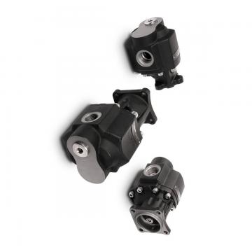 Pompe hydraulique pour Steering Gear Lauber Lau 55.9123
