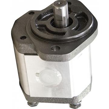 Pompe Hydraulique à Engrenage Pompe à Engrenages 25ccm Boîte de Vitesse 53 L/min