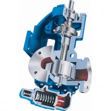 Pompe hydraulique pour Steering Gear Lauber Lau 55.3719