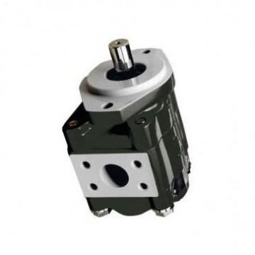 Rickmeier R25/4 Fl-Z-Db-R 330202-3 Pompe à Engrenage Hydraulique Inutilisés