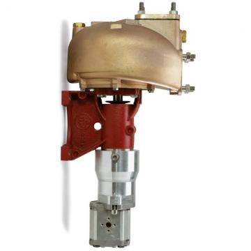 Zero Effort System for Double Acting Cylinder 0.45CC Gear Pump 19.5CC Handpump 1