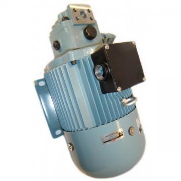 Zero Effort System for Double Acting Cylinder 0.45CC Gear Pump 19.5CC Handpump 1